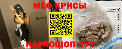 индика Дубна
