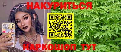 индика Дубна