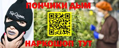 индика Дубна