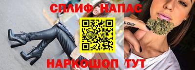 индика Дубна
