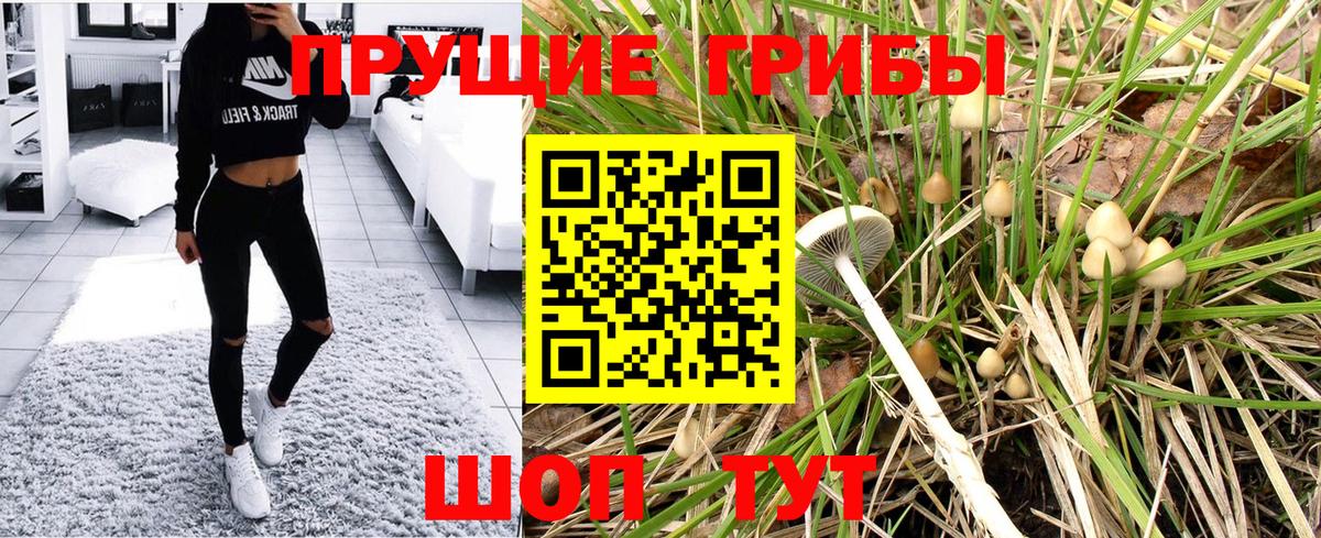 Галлюциногенные грибы Cubensis  Вход с VPN  Бор 